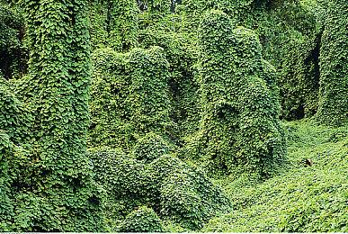 《摇曳庄有位幽奈小姐》多平台发布 全DLC收入终极版